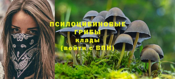 ешки Волосово