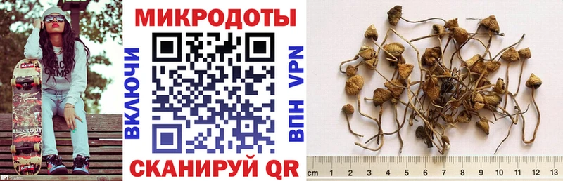 где можно купить   Жигулёвск  Псилоцибиновые грибы ЛСД 